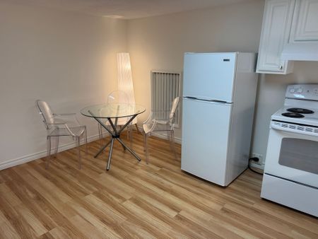For Lease - 227 Evelyn Avenue Unit# Basement, Toronto, Ontario - Photo 2
