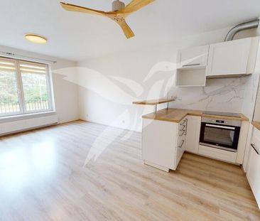 Pronájem bytu 1+kk a garsoniéry 32 m², Špačková 313, Plzeň - Photo 3