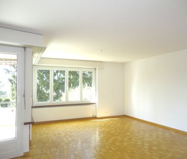 3.5 Zimmerwohnung in Oberengstringen - Photo 4