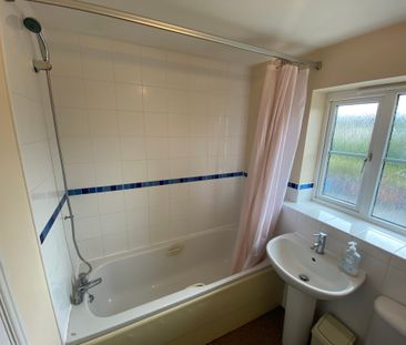 Barley Close, Newmarket - Photo 6