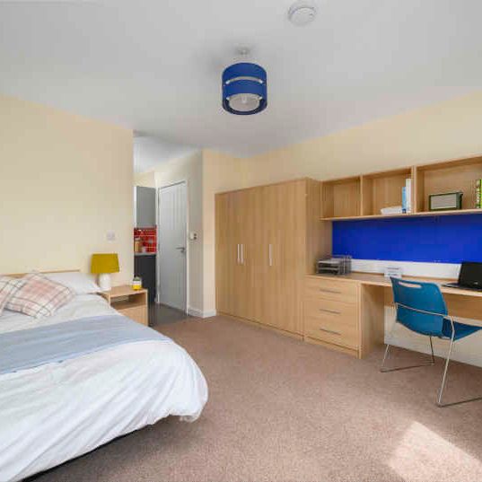 Deluxe Studio - Photo 1