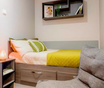 Bronze Studio Plus - Photo 1