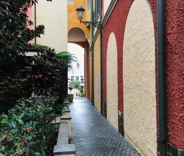 Carrara - Photo 5