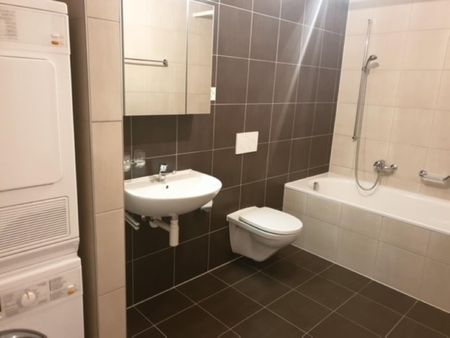 Ch. du Verger 22A, B et C, 1868 COLLOMBEY - Photo 5