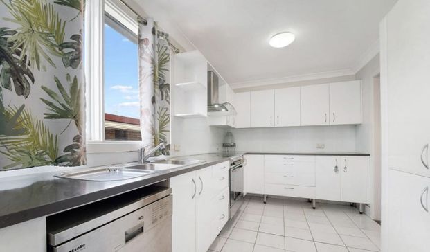 SPACIOUS FAMILY LIVING IN ONE OF GREYSTANES' MOST DESIRABLE STREETS - Photo 1