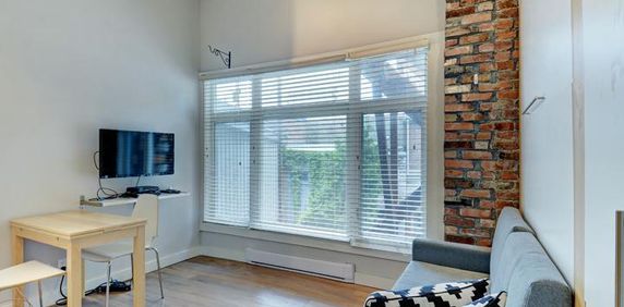 Loft entièrement meublé à louer Saint-Jean-Baptiste juillet 2026 - Photo 2