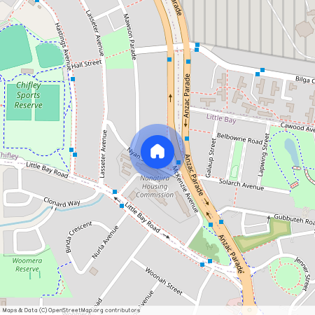 12 Nyan Street, NSW 2036, Chifley