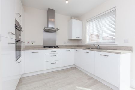 Further Wore, Radley - Photo 4