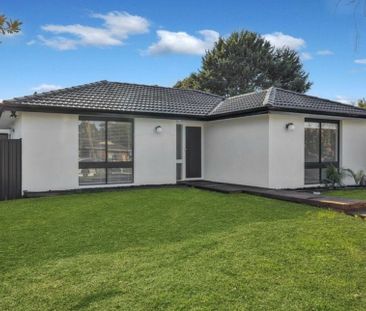 Renovated Family Home in Quiet Court Location - Photo 6