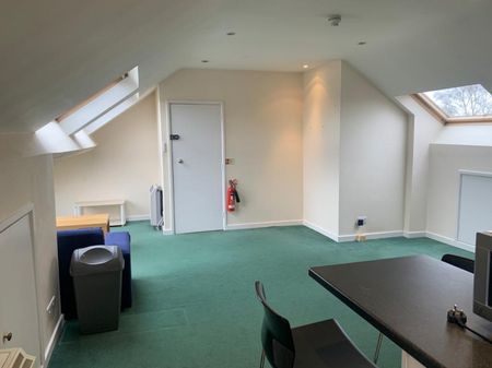 1 bed Studio - To Let - Photo 4