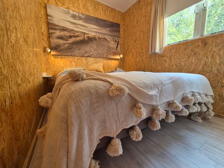 Vakantiehuis op kleinschalig park in Ouddorp - Foto 3