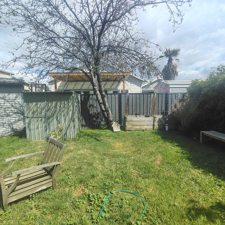 Kingsville - Photo 4