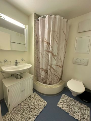2 Zimmer, 1. Stock - Photo 3