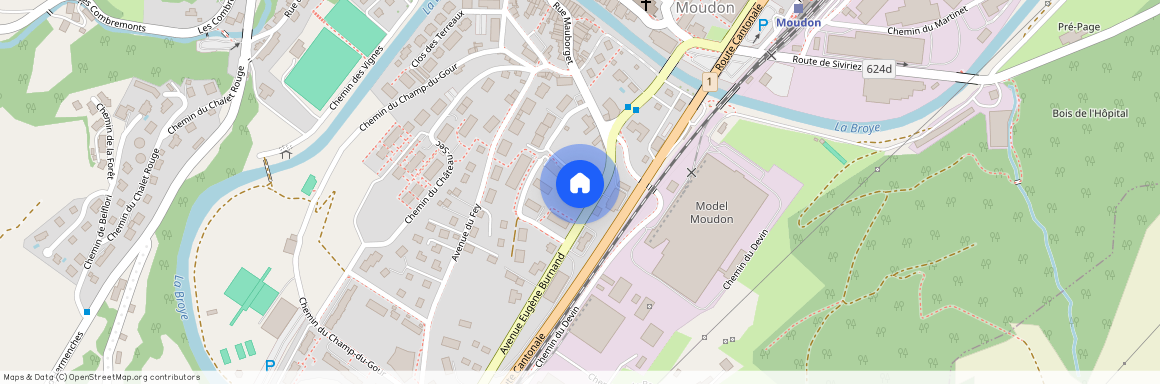 Avenue Eugène Burnand 9/11, 1510, Moudon