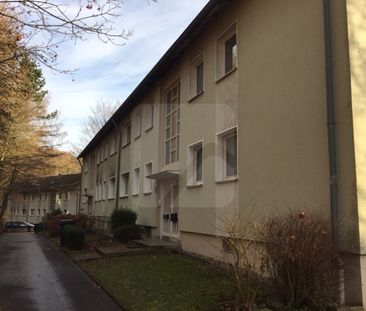 Lüdenscheid-Freisenberg: 2-Zimmer-Wohnung mit Balkon in ruhiger Lage - Photo 6