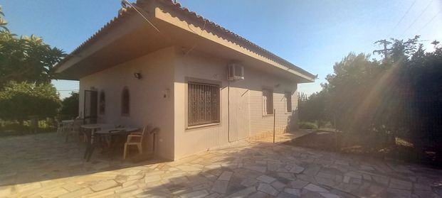 Μονοκατοικία για ενοικίαση Μαγούλα (Ερέτρια) - Photo 1