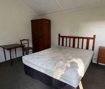 Large bedroom with kitchen in Mt Vic - Photo 1