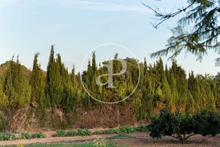 House for rent in Son Verí - Photo 5