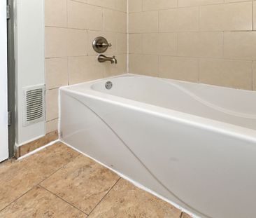For Lease - 355 Bronson Avenue, Ottawa Centre, Ontario - Photo 3