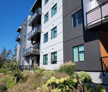 Upscale Corner 1 bdrm + den Condo near Downtown - Photo 3