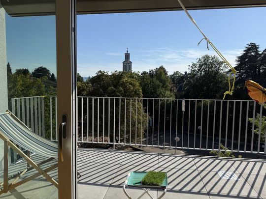 21/2-ROOM APARTMENT IN ZURICH - DISTRICT 8 RIESBACH, FURNISHED, TEMPORARY - Photo 1