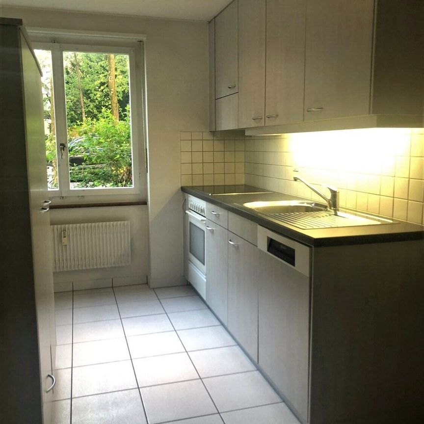 In the middle of the city, in the middle of life - Photo 1