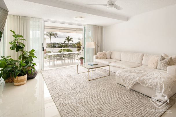 Modern Furnished Living with Your Own Private Oasis - Photo 1