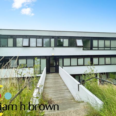 Whitehall Road, Colchester - Photo 4