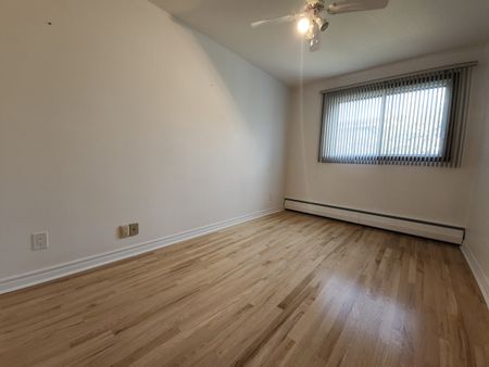 8116 Rue de Mirepoix - Photo 2