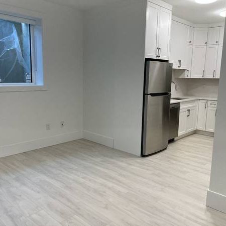 New Basement Suite in New home - Photo 1