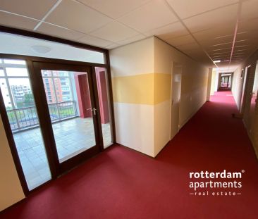Buizenwerf, Rotterdam - Foto 6