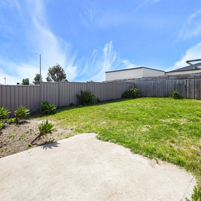 Prime Location! - Photo 1