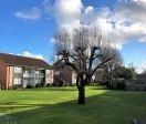 Marsh Lane, Stanmore - Photo 5