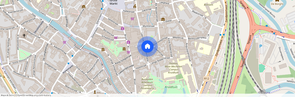 Blaasbalgstraat 2, 2800 Mechelen