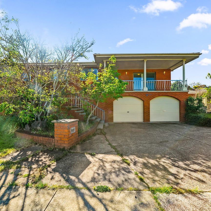 6 Galvin Place, Holt ACT 2615 - House For Rent | Domain - Photo 1