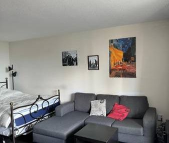 APARTMENTS FULLY FURNISHED FOR RENT in TORONTO - Photo 2