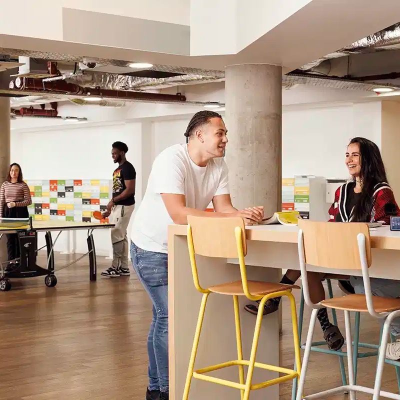 Extra Large High Double Studio - Photo 1