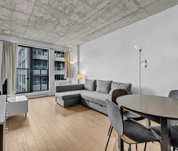 195 Rue Peel, Montréal (Le Sud-Ouest), QC H3C - Photo 4