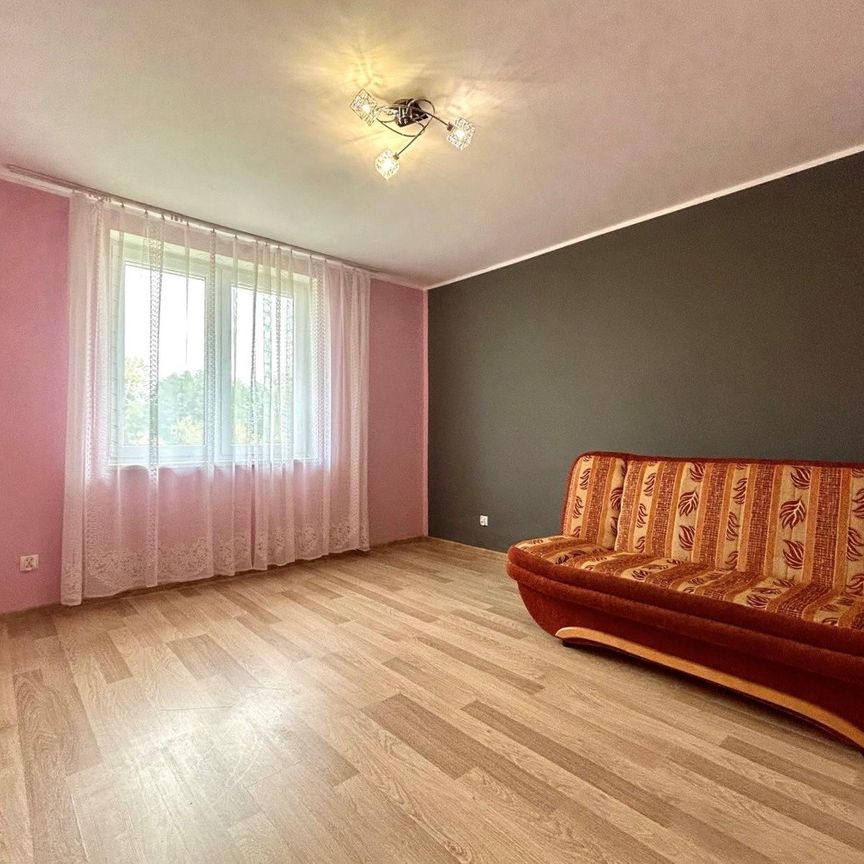 Grudziądz (gw), Turznice Dom na wynajem - Фото 1