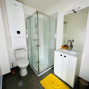 Location Appartement 1 pièce 19m² REIMS 51100 - Photo 3