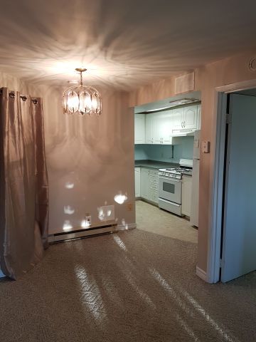 For Lease - 22 Palmer Drive Unit# Bsmt, Ajax, Ontario - Photo 2