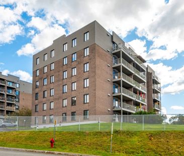 Appartement à louer - Québec (Sainte-Foy/Sillery/Cap-Rouge) (Pointe... - Photo 2