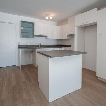 Appartement 4 ½ à louer Sainte-Foy / Sillery mai 2026 - Photo 4