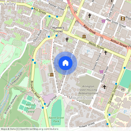 46A Thompson Street, Mount Cook, Wellington