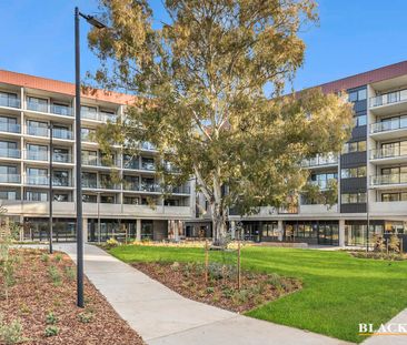 Brand New Three Bedroom Apartment In Prime Location - Photo 6