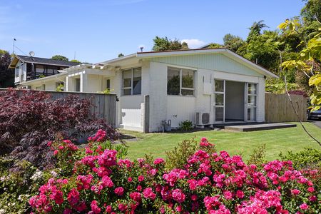 1/12 Ambury Place, Merrilands - Photo 3