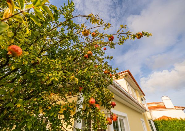 MORADIA DE LUXO T5 +1 NA PENHA LONGA RESORT - SINTRA