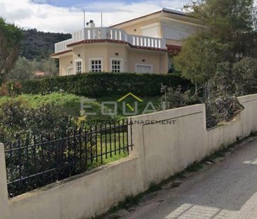 Μονοκατοικία για ενοικίαση - Κορωπί - Photo 4