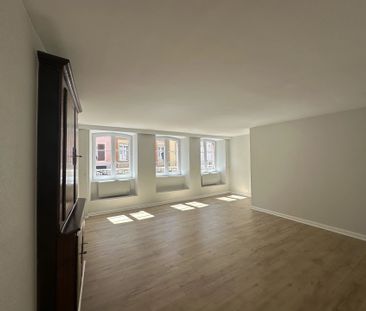 Location Appartement 1 pièce 49m² ALTKIRCH 68130 - Photo 2