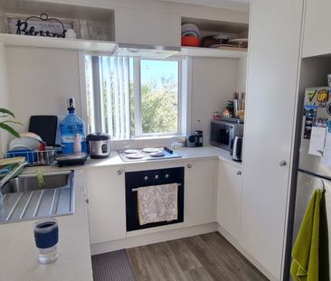 3 bedroom in Totara Vale - Photo 1